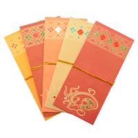 10 Premium Design Indian Money Envelopes (2 pks of 5)